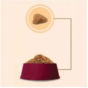 Racao Gran Plus Gatos Castrados Carne e Arroz 10,1kg